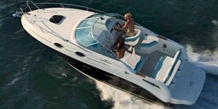 2013 Sea Ray Sundancer 255