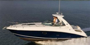 2012 Sea Ray Sundancer 310