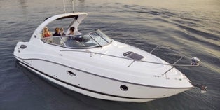 2014 Rinker Express Cruiser 290