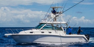 2015 Boston Whaler Conquest® 345