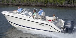 2015 Pursuit DC 235