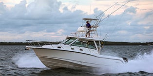 2017 Boston Whaler Conquest® 345