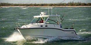 2019 Boston Whaler Conquest® 315