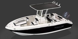 2020 Robalo Explorer R202EX